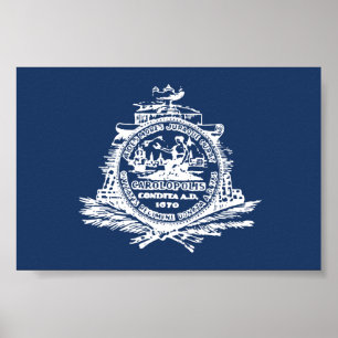 Charleston, SC Vlag Poster