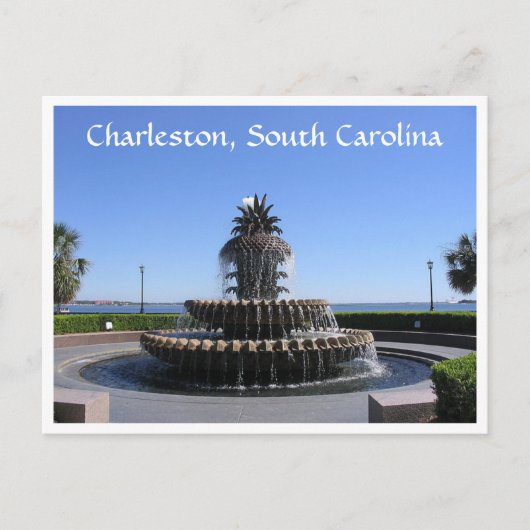 Charleston SC Waterfront Park Fountain Post Card Briefkaart (Voorkant)