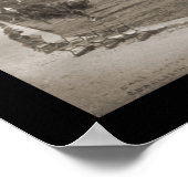 Charleston South Carolina Battery Foto 1909 Poster (Hoek)