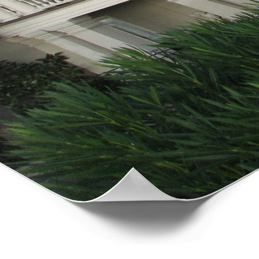 Charleston South Carolina Historic Home Poster (Hoek)