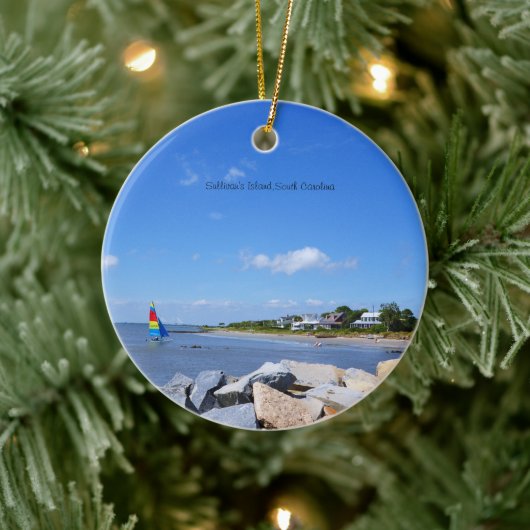 Charleston South Carolina Keramisch Ornament (Boom)