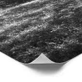 Charleston South Carolina Poster (Hoek)