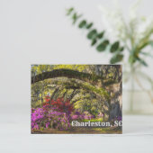 Charleston, South Carolina Spring Botanical Garden Briefkaart (Staand voorkant)