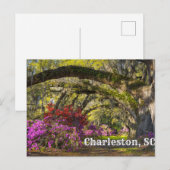 Charleston, South Carolina Spring Botanical Garden Briefkaart (Voorkant / Achterkant)