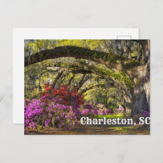 Charleston, South Carolina Spring Botanical Garden Briefkaart (Voorkant / Achterkant)