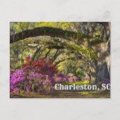 Charleston, South Carolina Spring Botanical Garden Briefkaart (Voorkant)