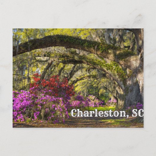 Charleston, South Carolina Spring Botanical Garden Briefkaart (Voorkant)