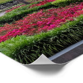 Charleston, South Carolina, Verenigde Staten Poster (Hoek)