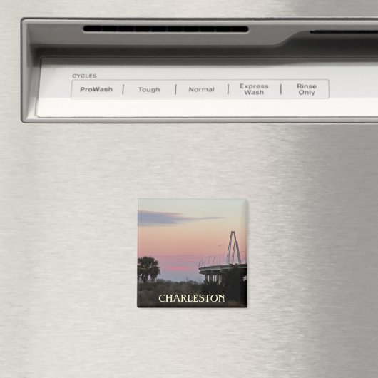 Charleston Souvenir fotomagneet Magneet (Insitu (Vaatwasser))