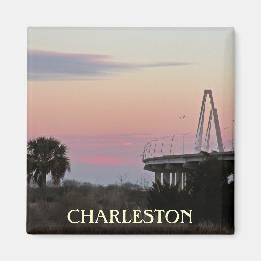 Charleston Souvenir fotomagneet Magneet (Voorkant)
