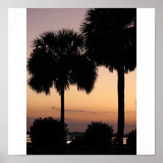Charleston Sunset Poster (Voorkant)