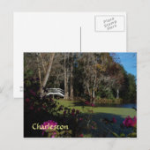 Charleston Swamp Garden Briefkaart (Voorkant / Achterkant)