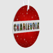 Charlevoix Michigan Reisfoto's Kerstmis Ornament (voorkant)