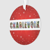 Charlevoix Michigan Reisfoto's Kerstmis Ornament (voorkant)