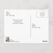 Charlevoix South Pierhead Lighthouse Bedankt Briefkaart (Achterkant)