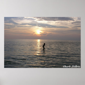 Charli op de strand poster