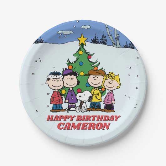 Charlie Brown en Friends Winter Birthday Papieren Bordje (Voorkant)