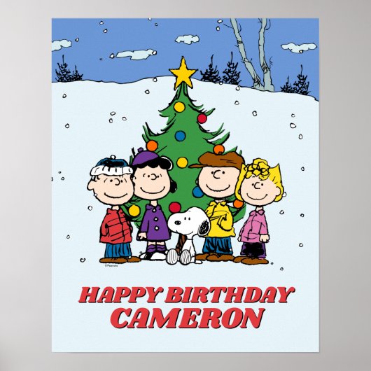 Charlie Brown en Friends Winter Birthday Poster (Voorkant)