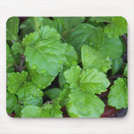 Charlie creeping muismat (Voorkant)