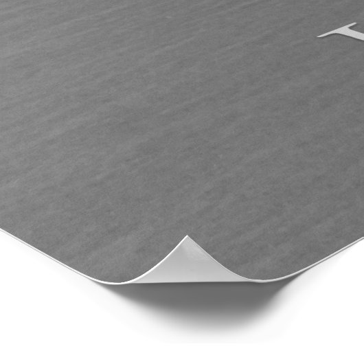 Charlie de eenzame seagull - ik ben zo'n adelaar! poster (Hoek)