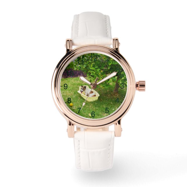 Charlie de Fox Terrier badtijd, Horloge (Voorkant)