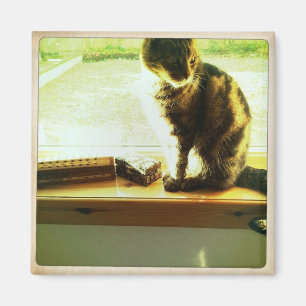 Charlie in het raam magneet