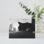 Charlie kijkt uit het raam briefkaart (Staand voorkant)