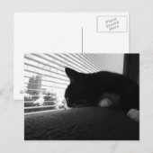 Charlie kijkt uit het raam briefkaart (Voorkant / Achterkant)