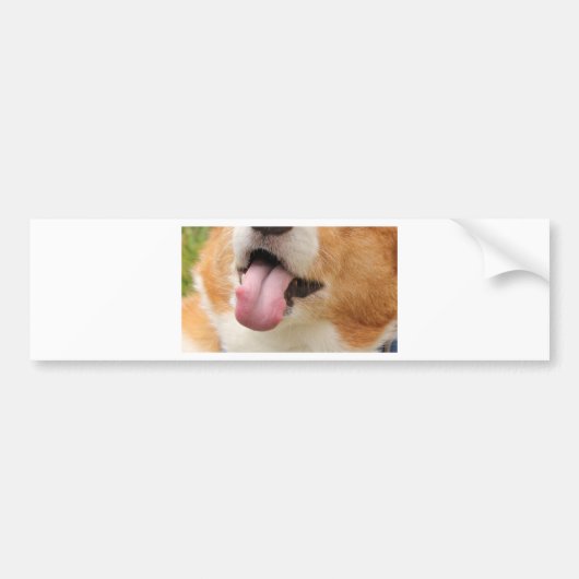 Charlie Kisses Bumpersticker (Voorkant)