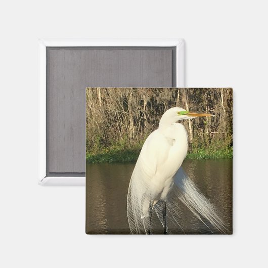 Charlie Magneet (Voorkant / Achterkant)