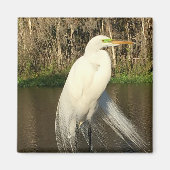 Charlie Magneet (Voorkant)