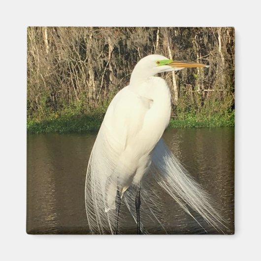 Charlie Magneet (Voorkant)