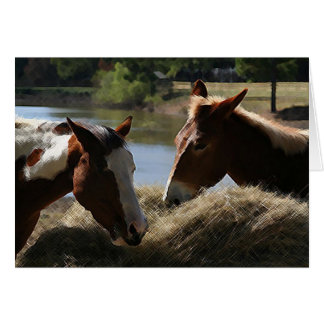 Charlie Mule en Dulce Maria