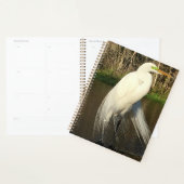 Charlie Planner (Display)