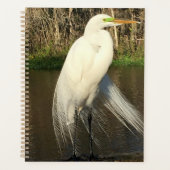 Charlie Planner (Voorkant)