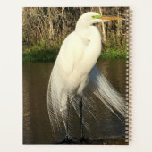 Charlie Planner (Achterkant)