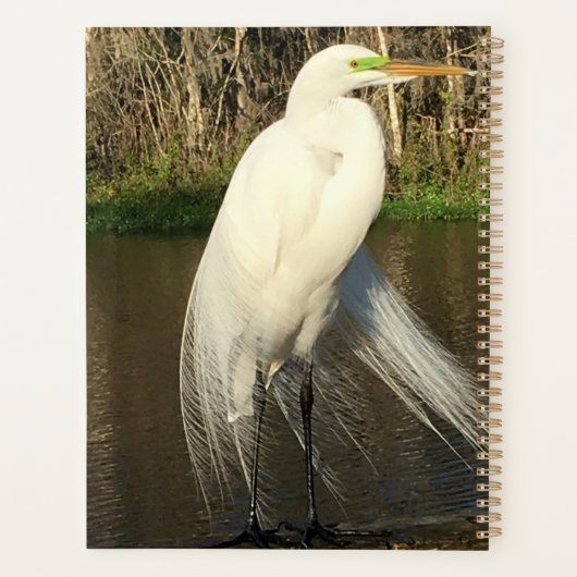 Charlie Planner (Achterkant)