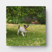 Charlie The Fox Terrier Ball Play, Photo Plaque Fotoplaat (Voorkant)