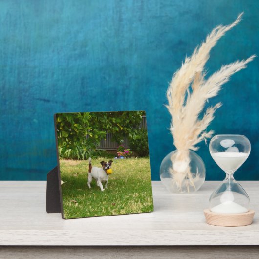 Charlie The Fox Terrier Ball Play, Photo Plaque Fotoplaat (Insitu)