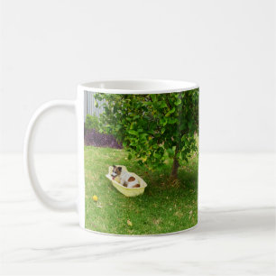 Charlie The Fox Terrier Bath Time, Coffee Mok