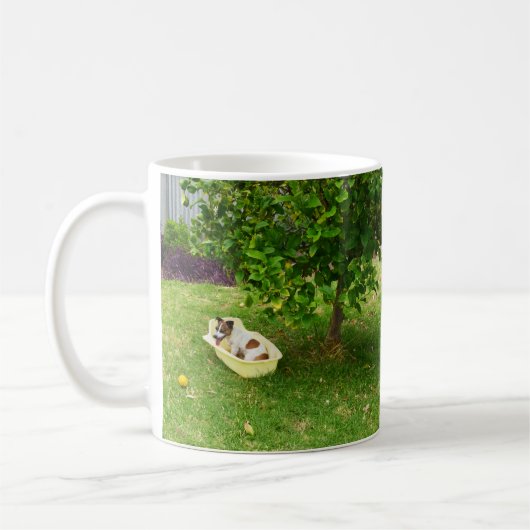 Charlie The Fox Terrier Bath Time, Coffee Mok (Links)
