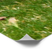 Charlie The Fox Terrier Play Time, Poster (Hoek)