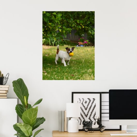 Charlie The Fox Terrier Play Time, Poster (Thuiskantoor)