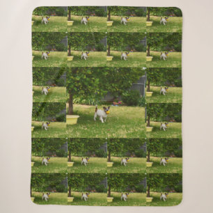 Charlie The Fox Terrier Play Time, Sherpa Blanket Deken
