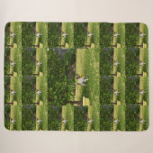 Charlie The Fox Terrier Play Time, Sherpa Blanket Deken (Voorkant (horizontaal))