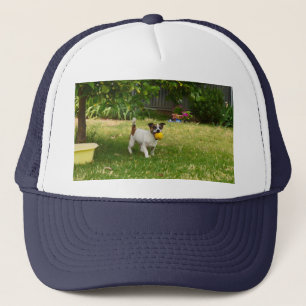 Charlie The Fox Terrier Play Time, Truckers Pet