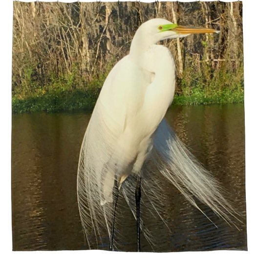 Charlie The Great Egret Douchegordijn (Voorkant)