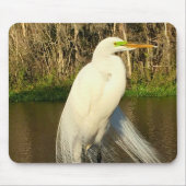 Charlie The Great Egret Muismat (Voorkant)