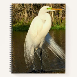 Charlie The Great Egret Notitieboek