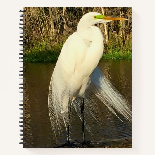Charlie The Great Egret Notitieboek (Voorkant)